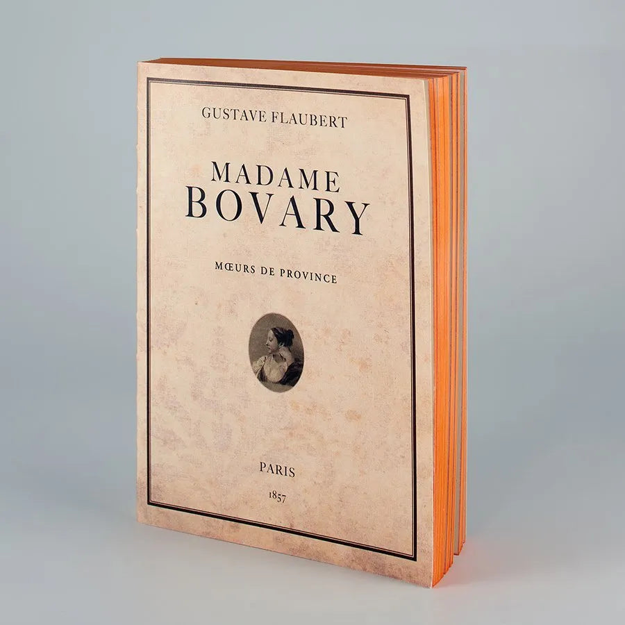 Notesbog - Madame Bovary